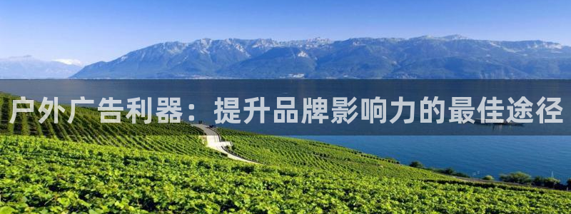 杏宇平台代理怎么样可靠吗