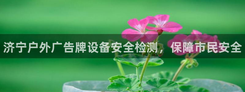 杏宇平台招商