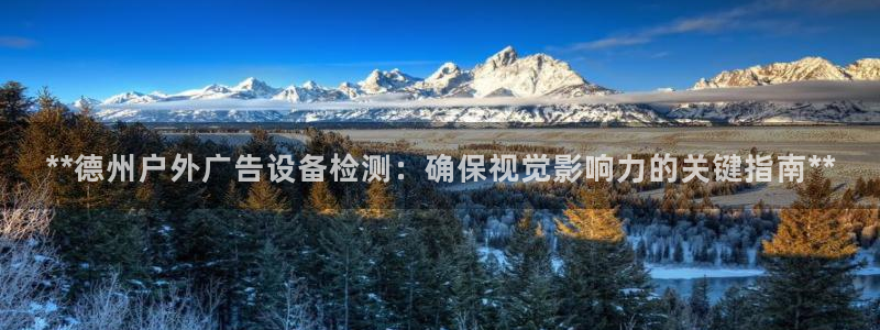 杏宇平台是什么：**德州户外广告设备检测：确保视觉影响力的关键指南**