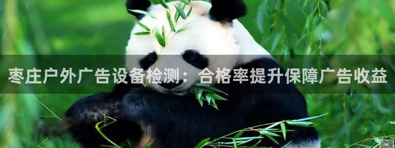 杏宇平台登陆