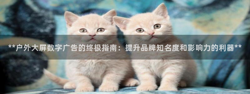 杏宇平台登录步骤是什么
