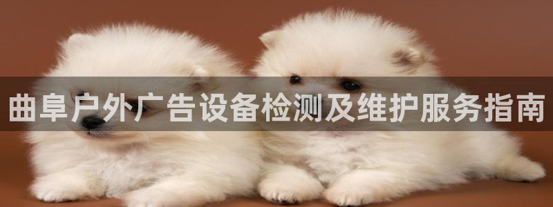 杏宇官方平台官网
