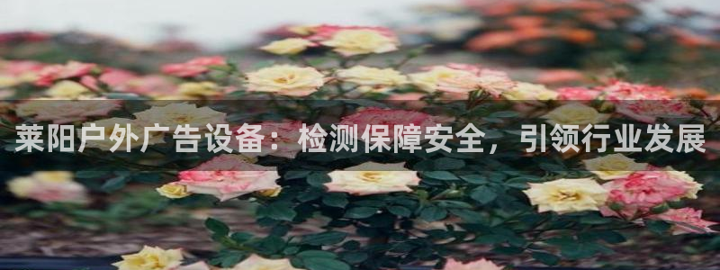 杏宇平台官网注册
