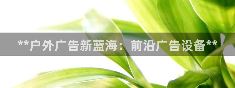 杏宇平台好吗