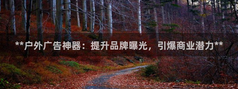 杏宇平台登录步骤图