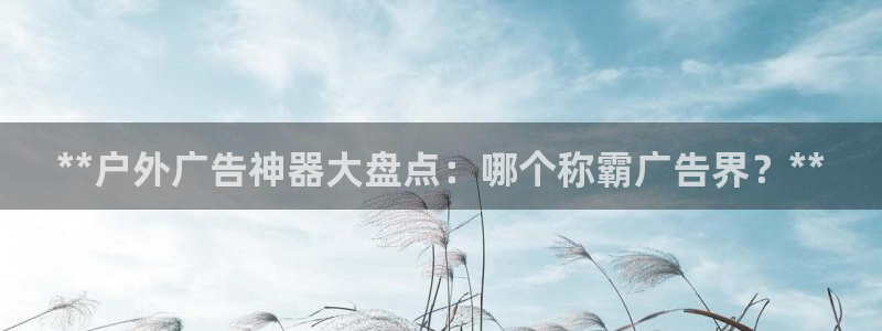 杏宇平台主管