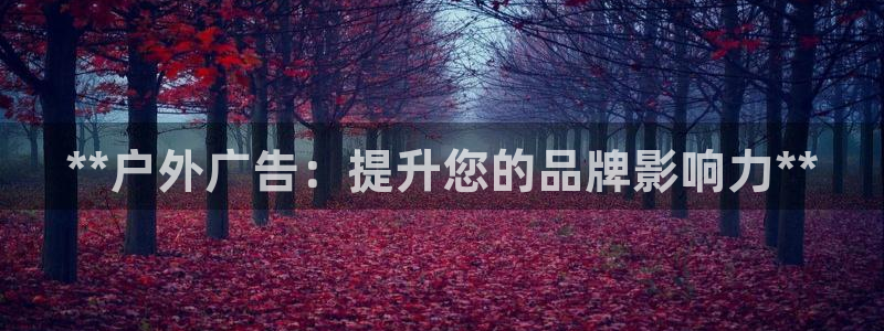 杏宇平台怎么样