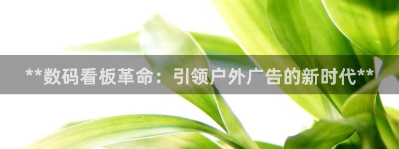 杏宇平台代理多少钱一次