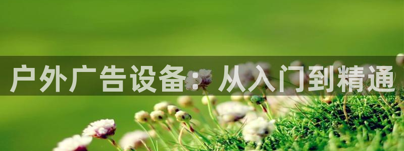 杏宇代理注册
