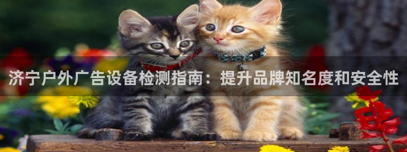 杏宇平台总代理