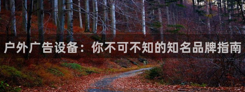杏宇平台注册登录