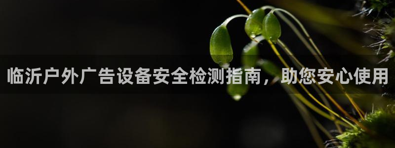 杏宇平台是什么
