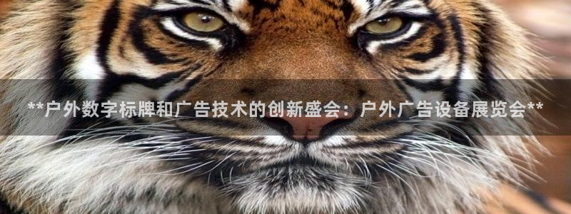 杏宇官方平台官网下载