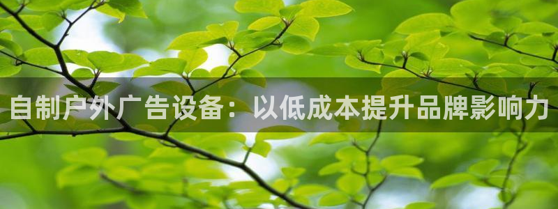 杏宇平台登录步骤图
