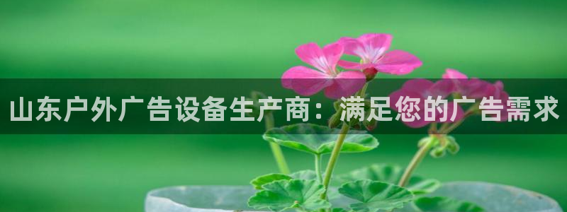 杏宇平台招商怎么样