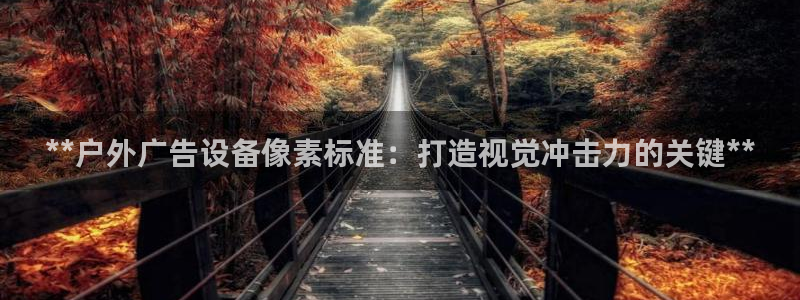 杏宇平台怎么样