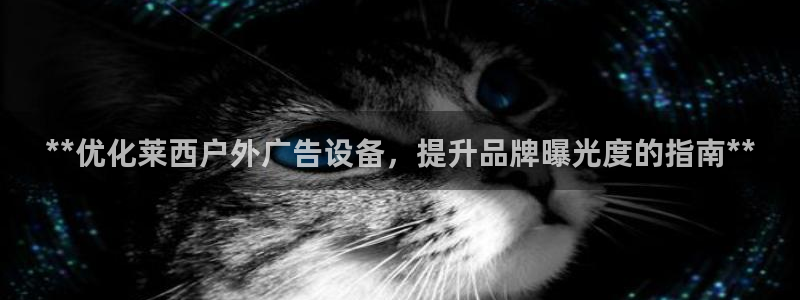 杏宇平台是什么