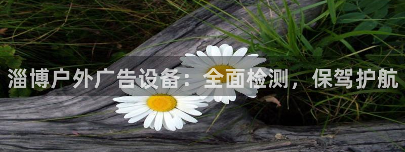 杏宇平台招商