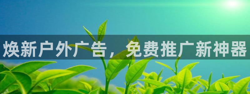 杏宇平台代理怎么样