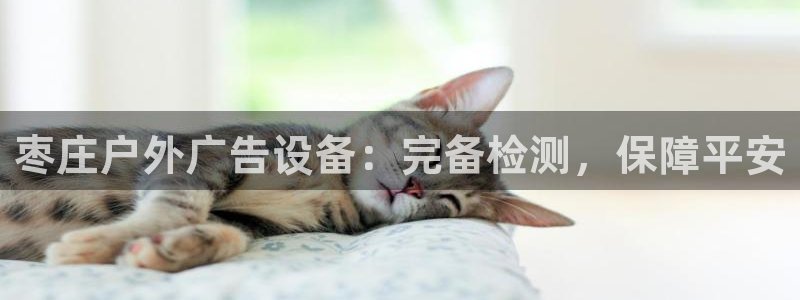 杏宇平台登录步骤是什么