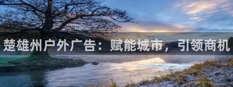 杏宇官方平台官网下载