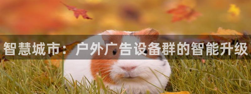 杏宇官方平台官网