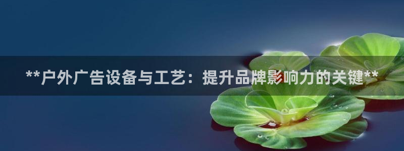 杏宇平台官网注册：**户外广告设备与工艺