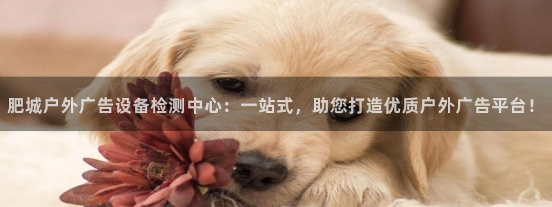 杏宇平台注册地址在哪里：肥城户外广告设备