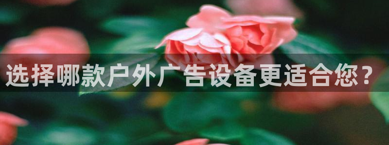 杏宇官方平台官网