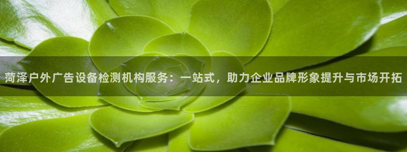 杏宇平台怎么样赚钱
