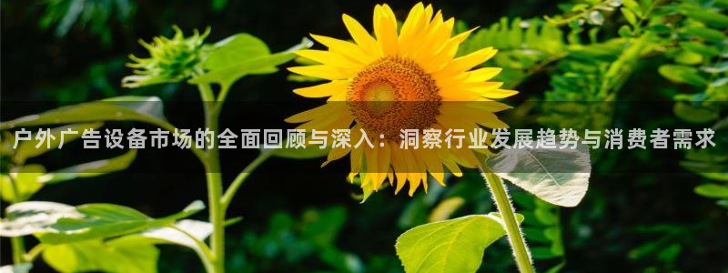 杏宇平台注册地址：户外广告设备市场的全面