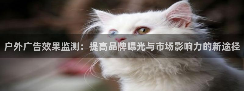杏宇平台客服：户外广告效果监测：提高品牌