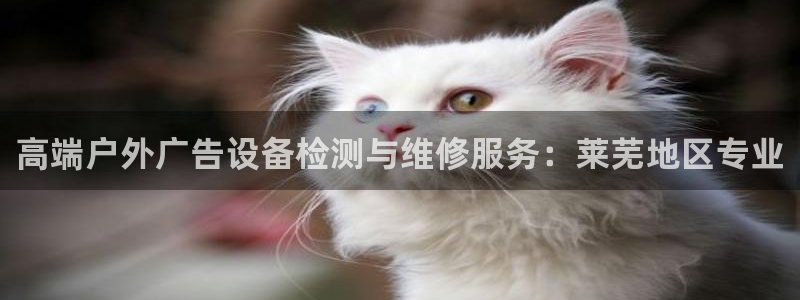 杏宇平台提现为什么这么久呢：高端户外广告