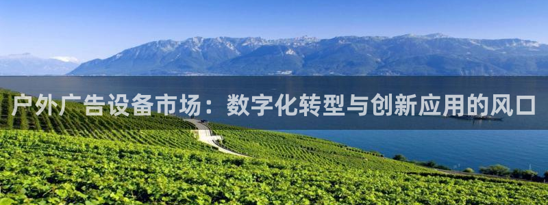 杏宇平台主管：户外广告设备市场：数字化转